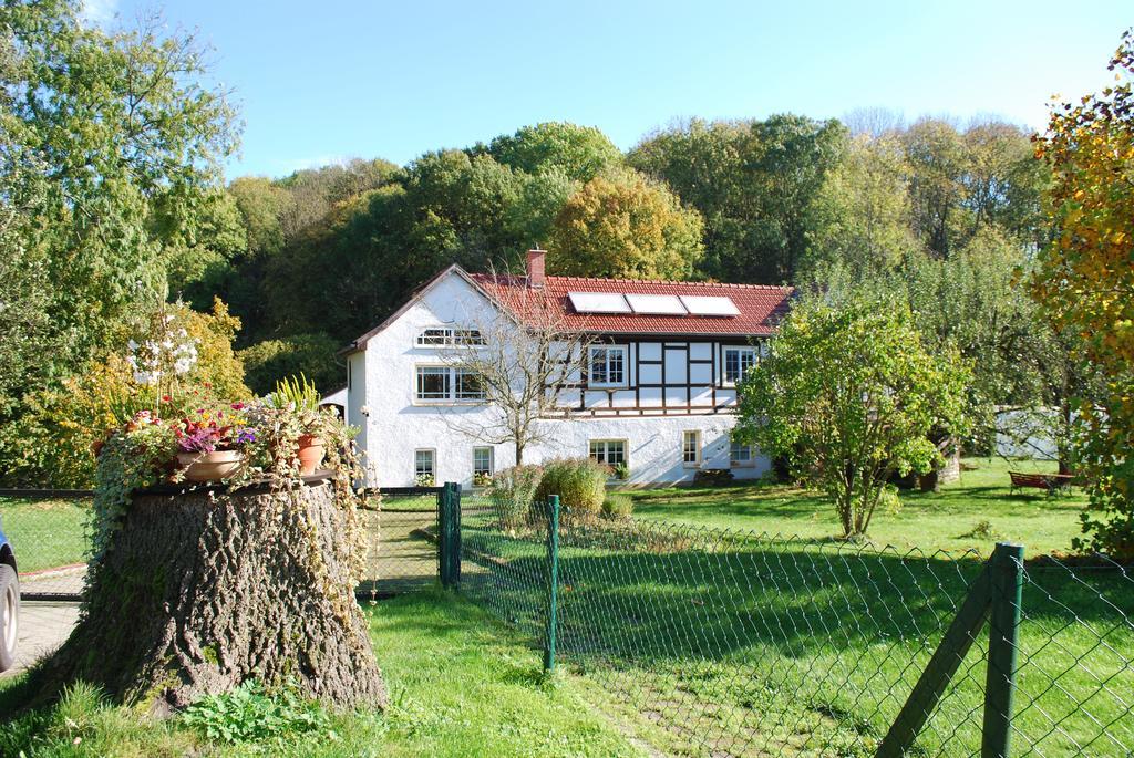 Obermuehle Ballstadt